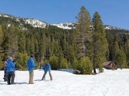 CDWR staff conduct the May 2019 snow survey at Phillips Station in the Sierra Nevada mountains. Photo: CDWR