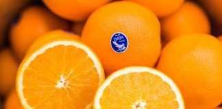 Johnston Farms’ navel oranges.