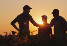 farmers shaking hands in field