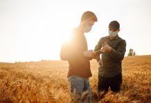 Farmers in a wheat field taking precautions against COVID-19