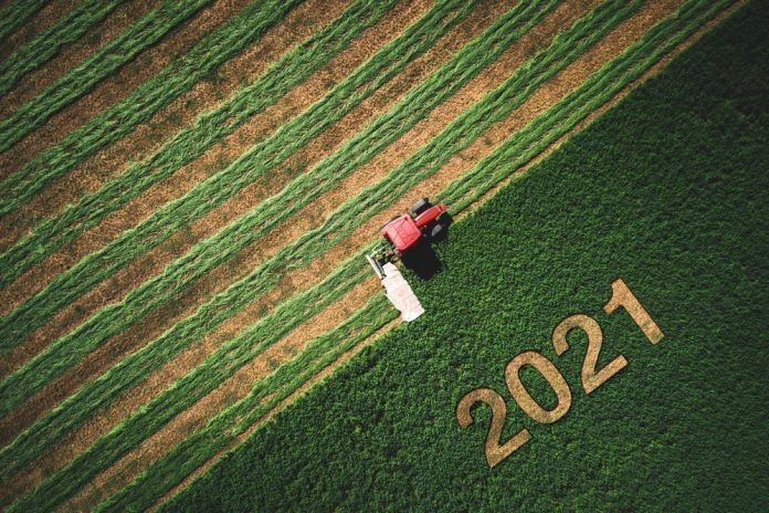 2021 mowed into farmland
