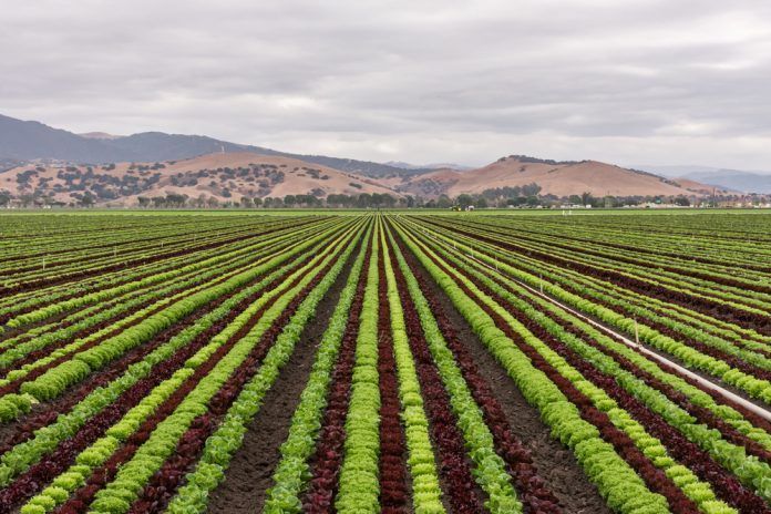 California farm