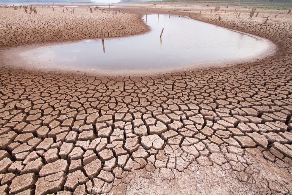 dry land from drought