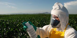worker holding bottle of pesticide
