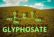 Glyphosate molecule