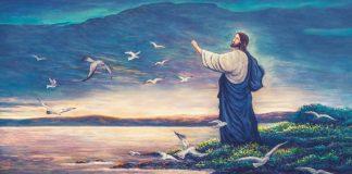 Jesus Christ feeding seagulls