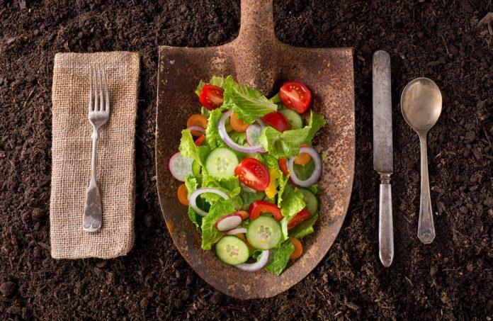 salad on shovel