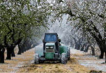 almond harvester