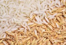 rice with rice husk