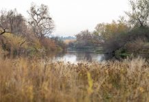 Okihi Preserve Kern River