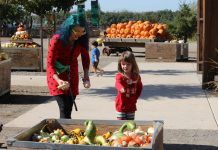 woman and child picking pumpkins at pumpkin patch