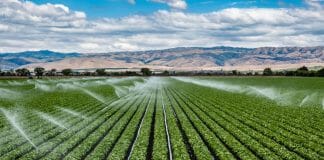 farmland irrigation