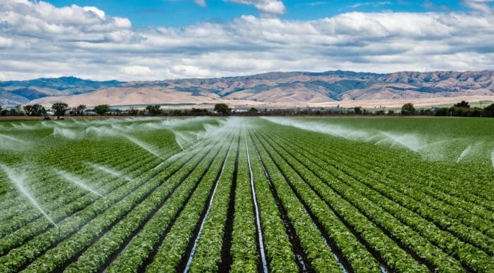 farmland irrigation